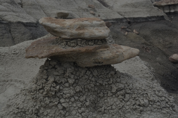 bisti wilderness